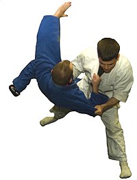 judo stance