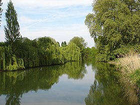 L'Indre à Rigny-Ussé