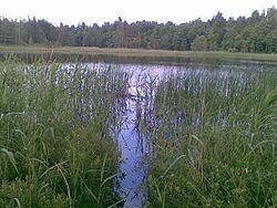 Lepaauk lake in Vaisi