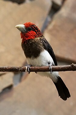 Tierpark Hagenbeck, Hamburg