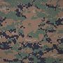 Miniatura para MARPAT