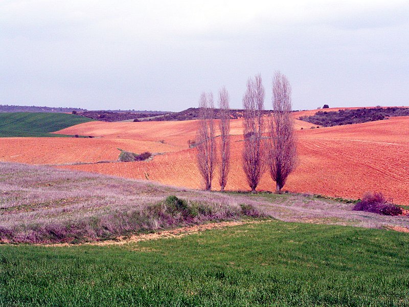 File:Malaguilla Countryside view2.jpg