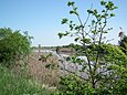 Les marais de Seudre à Saujon