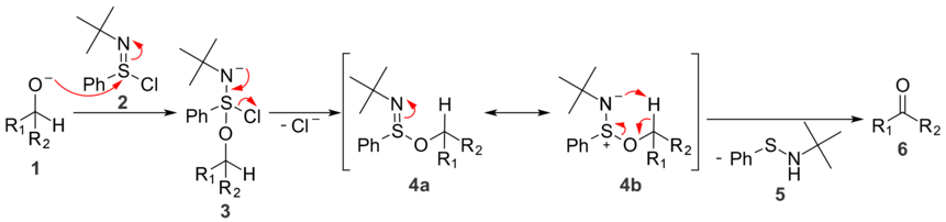 In oxidation reactions with N-tert-butylbenzenesulfinimidoyl chloride, a five-membered ring transition state is responsible for the formation of a new double bond.