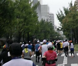 Osaka marathon2011midosuji.jpg