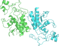 PDB: 3PGM​. Phosphoglycerate mutase. Yeast.