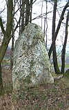 Menhir de Schönberg (1)