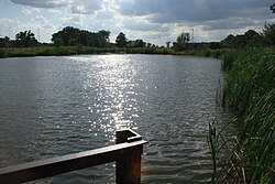 Pond in Domecko