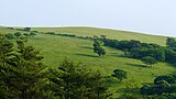 イーハトーブの風景地（種山ヶ原）