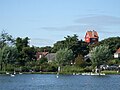 View from across the Meare above the trees