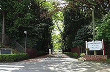 Das Foto zeigt eine von niedrigen Hecken und dahinterstehenden hohen Bäumen gesäumte Straße, Sonnenlicht fällt durch die Blätter und an der rechten Seite ist ein auf Japanisch beschriftetes Schild zu sehen.