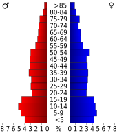 Bevolkingspiramide Dimmit County