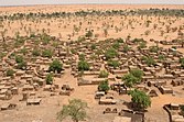 Desert sand half covers a village of small flat-roofed houses with scattered green trees