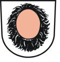 Brasão de Pfaffenhofen (Württemberg)