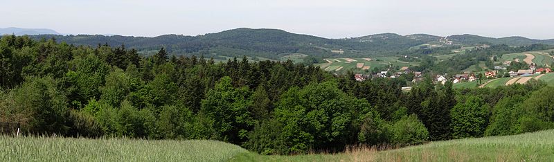 Wichras i ciąg wzgórz nad Stradomką. Widok z Leksandrowej