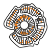 Ancient city of metalworkers called Arkaim, seen from above. The orange dots are house ovens.