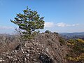 山頂から北側に伸びる岩稜