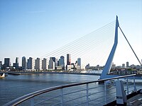 206 Rotterdam bridge.jpg