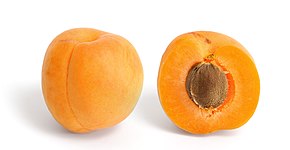 File:Apricot and cross section.jpg