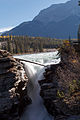 Die Athabasca Falls