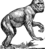 Barbary Ape (PSF).png