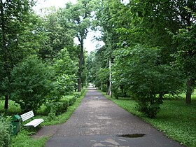 Центральная аллея парка