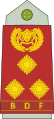 Brigadier (Botswana Ground Force)[14]