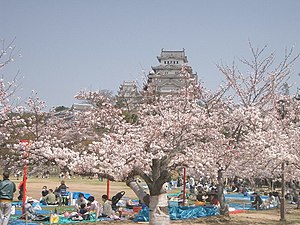 http://upload.wikimedia.org/wikipedia/commons/thumb/2/2a/Castle_Himeji_sakura02.jpg/300px-Castle_Himeji_sakura02.jpg