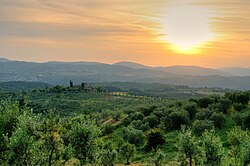 Countrysyde in Reggello