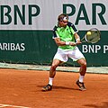 David Ferrer