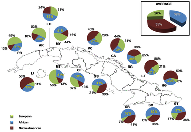 Ancestral contributions in Cubans as inferred from mtDNA markers.