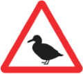 Vögel