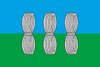 Flag of Novorževas rajons