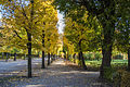 Gardens of Schönbrunn in autumn