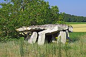 Dolmen de la Forêt