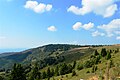 Zlatibor/Златиборски/Zlatiborski