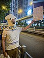 有參與人士戴上八爪魚面具，高舉FREE HONG KONG紙牌