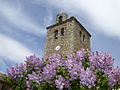 Miniatura para Iglesia de San Nicolás de Bari (Navas de San Antonio)