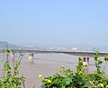 Jiangjin Yangtze River Bridge.JPG