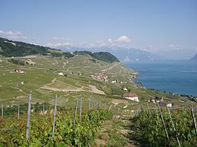 Bourg-en-Lavaux