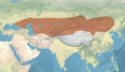 Göktürk kağanlığı Kuzeyde Tunguz Halkları ve batısında Sasani İmparatorluğu olmak üzere en geniş sınırları ile