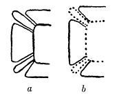 Fig. 72. The tun, uinal, and kin coefficients on Stela H, Quirigua: a, Tun coefficient; b, suggested restoration of the uinal and kin coefficients like the tun coefficient.