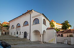 Mikulovská synagoga