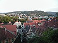 Blick von der Burg ins Jagsttal