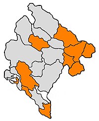 Elecciones presidenciales de Montenegro de 2013