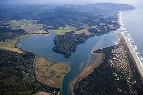 Nestucca Bay NWR.jpg