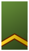 Nederlandenes armé - Sergent