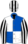 Royal blue and white (quartered), black and white striped sleeves and cap