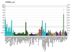 PBB GE ARID1A 210649 s на fs.png