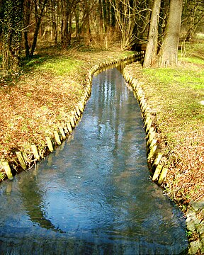 Die Panke in die Kasteelpark Buch.